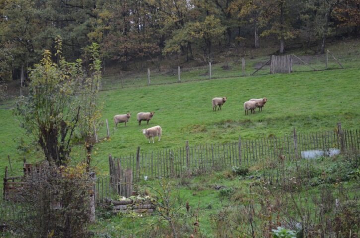 la heid de frenay