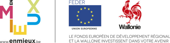 logo_FEDER+wallonie