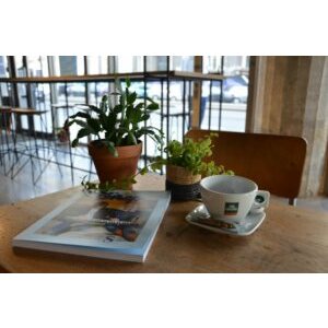 received_5229182427123136