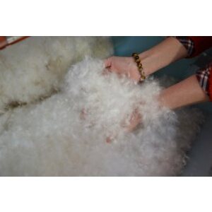 received_465915634676013