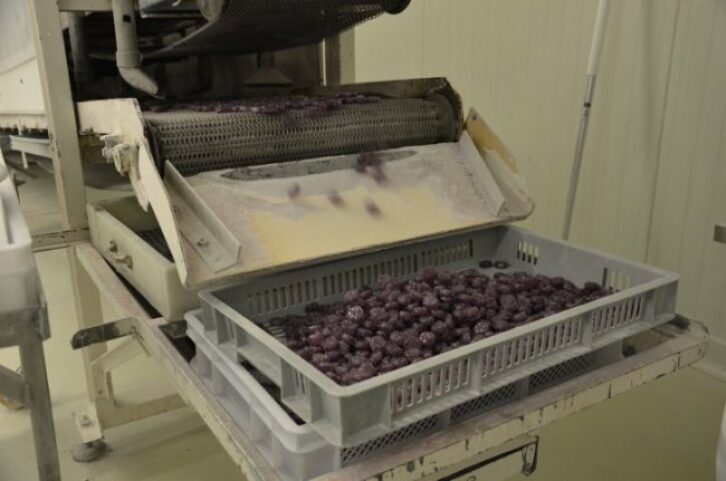 Gicopa photo fabrication de la Violette